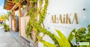 Fashion Trends Reflected by American Fashion Alaikas Com