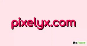 Pixelspinx com Pros and Cons