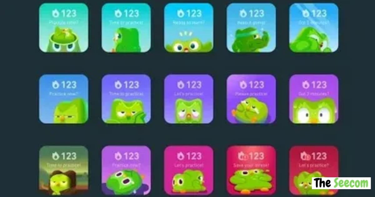 CoolKingZone com